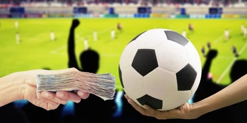 Tra cứu Lịch thi đấu bóng đá Ý nhanh chóng